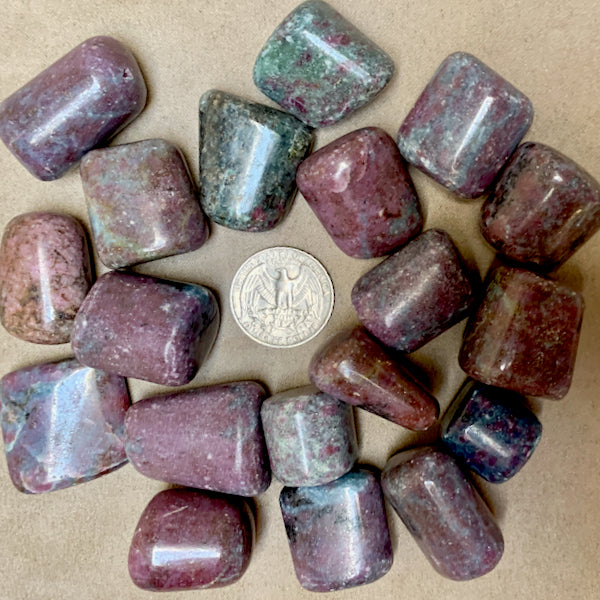 Ruby in Kyanite Polished Pebble