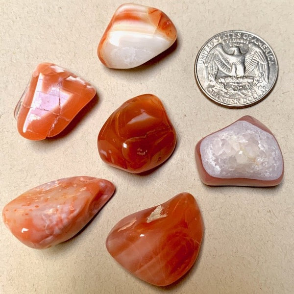 Carnelian Polished Pebble (Sierra County, New Mexico)