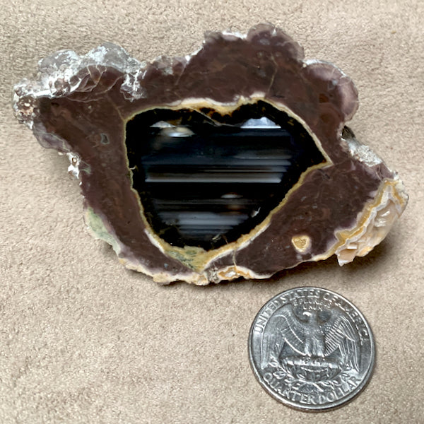 Geode, Black Agate Thunder Egg (Bulgaria)