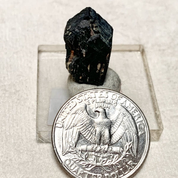 Columbite Crystal (Rio Arriba Co., New Mexico)