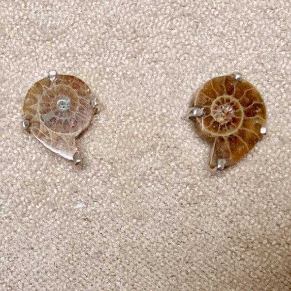 Ammonite Slice Stud Earrings