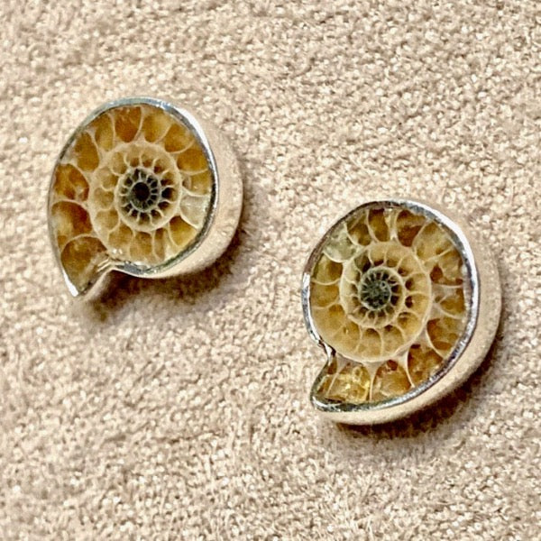Ammonite Slice and Sterling Silver Post Earrings