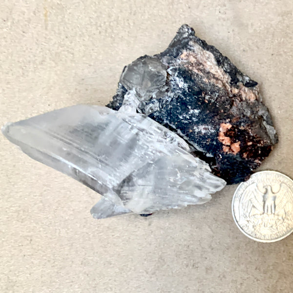 Gypsum (Selenite) Crystal on Matrix (Mexico)